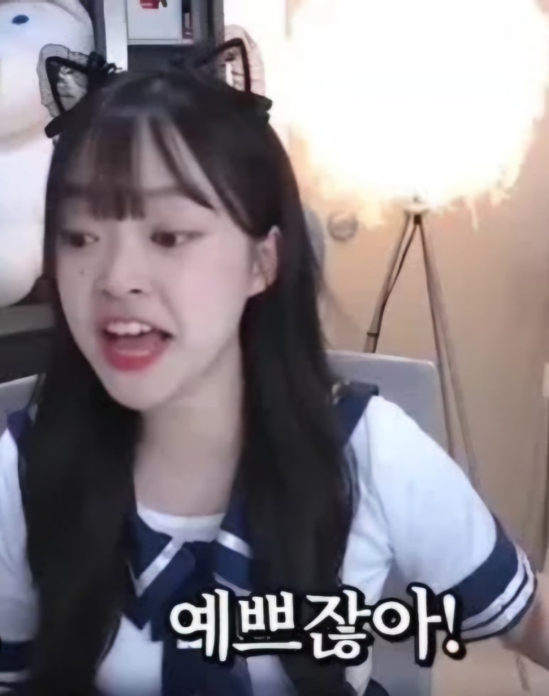 카페노도 이미지