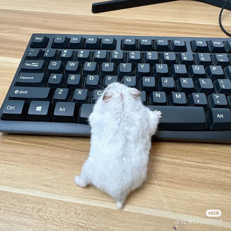 약속커피숍 이미지