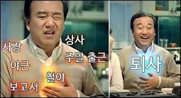 트래블 서치 이미지