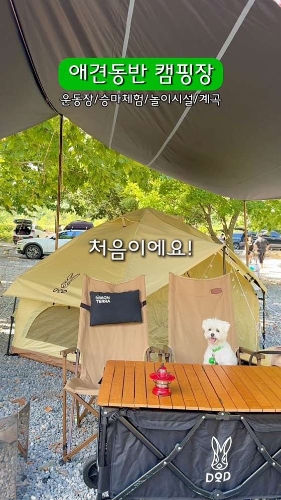 패밀리오토캠핑장 이미지