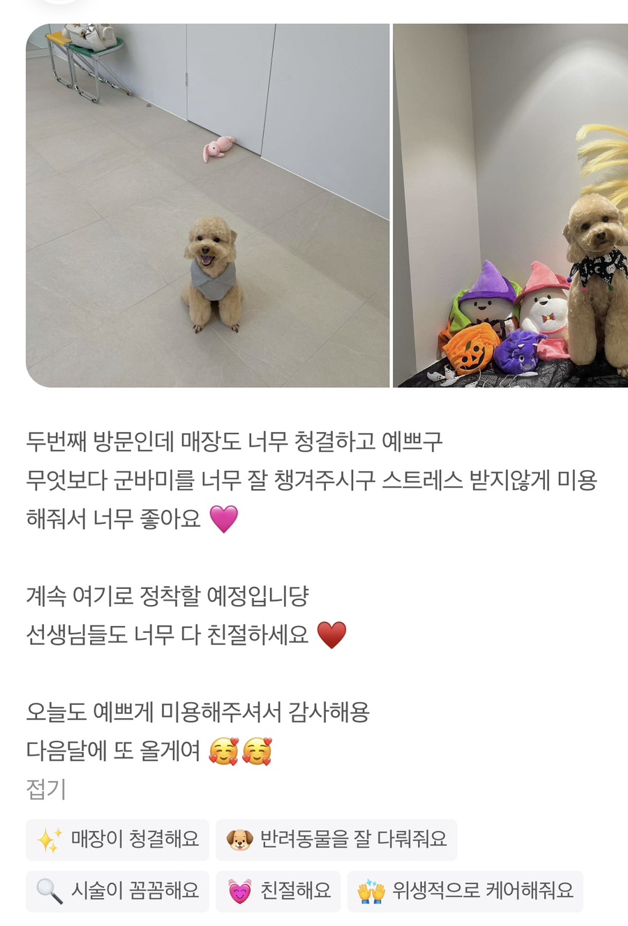 위드스테이부산 이미지