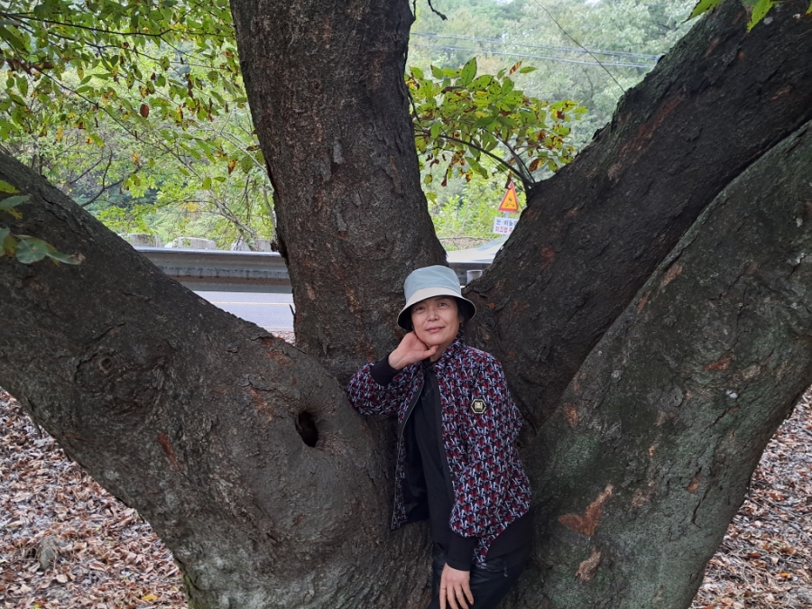 오혜숙 생활단식 젊은지사 이미지
