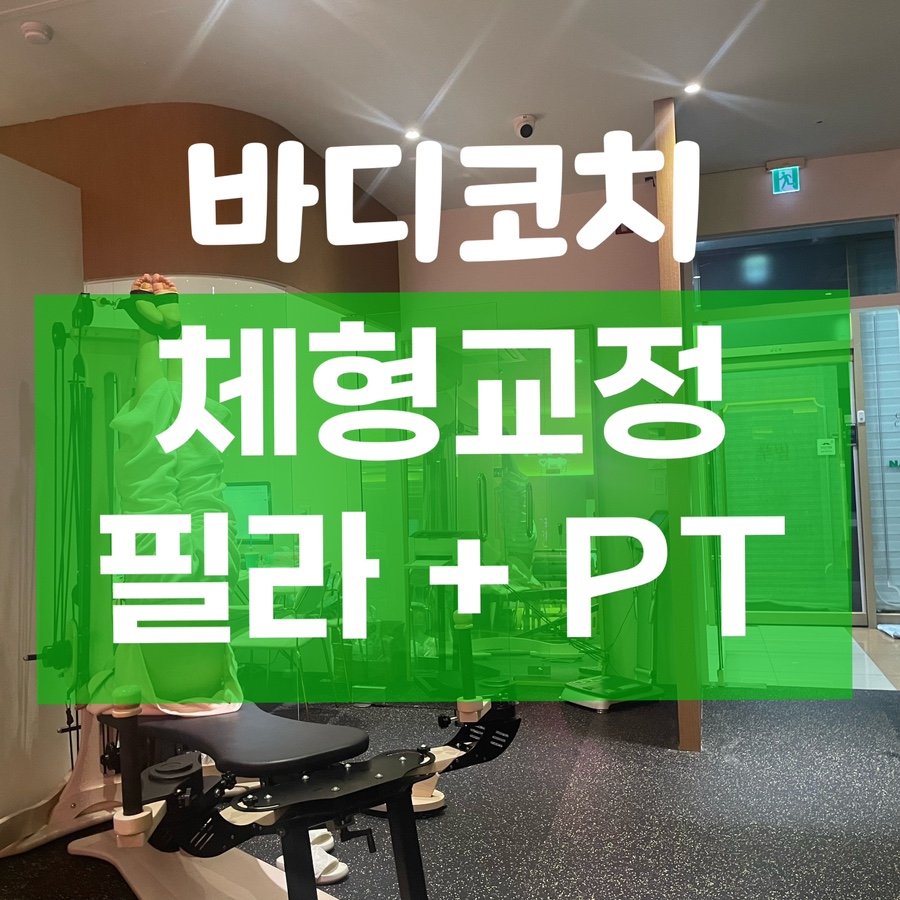 체형교정 이미지