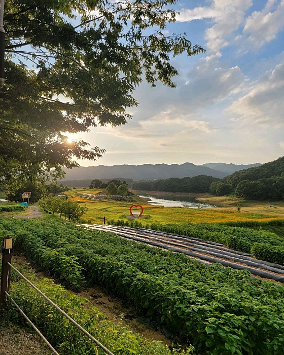 제천모노레일글램핑 이미지