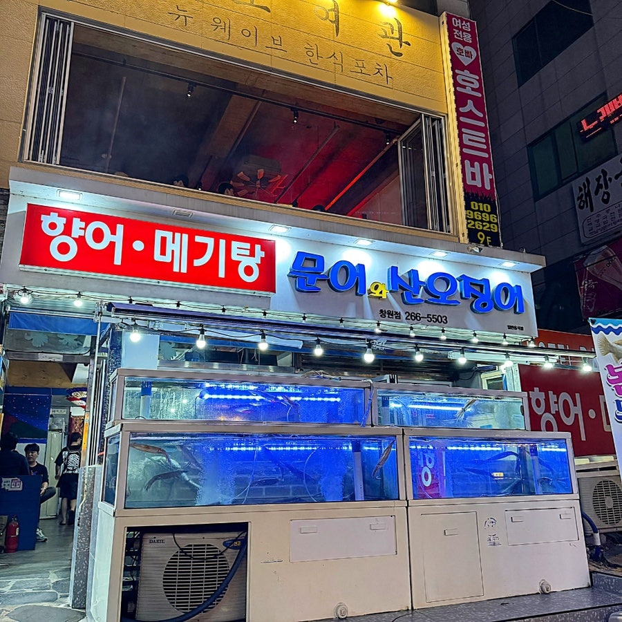 문어와산오징어 이미지
