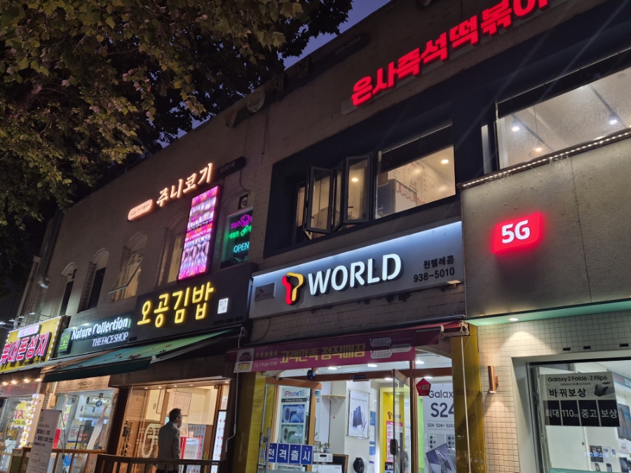 주니코기 이미지