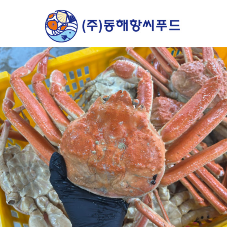동해항씨푸드 이미지