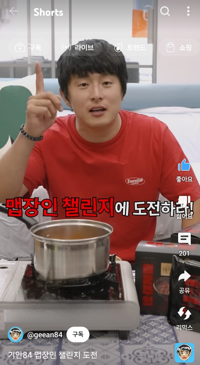 파파치노 이미지