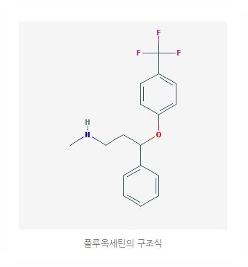 플루슬리 이미지