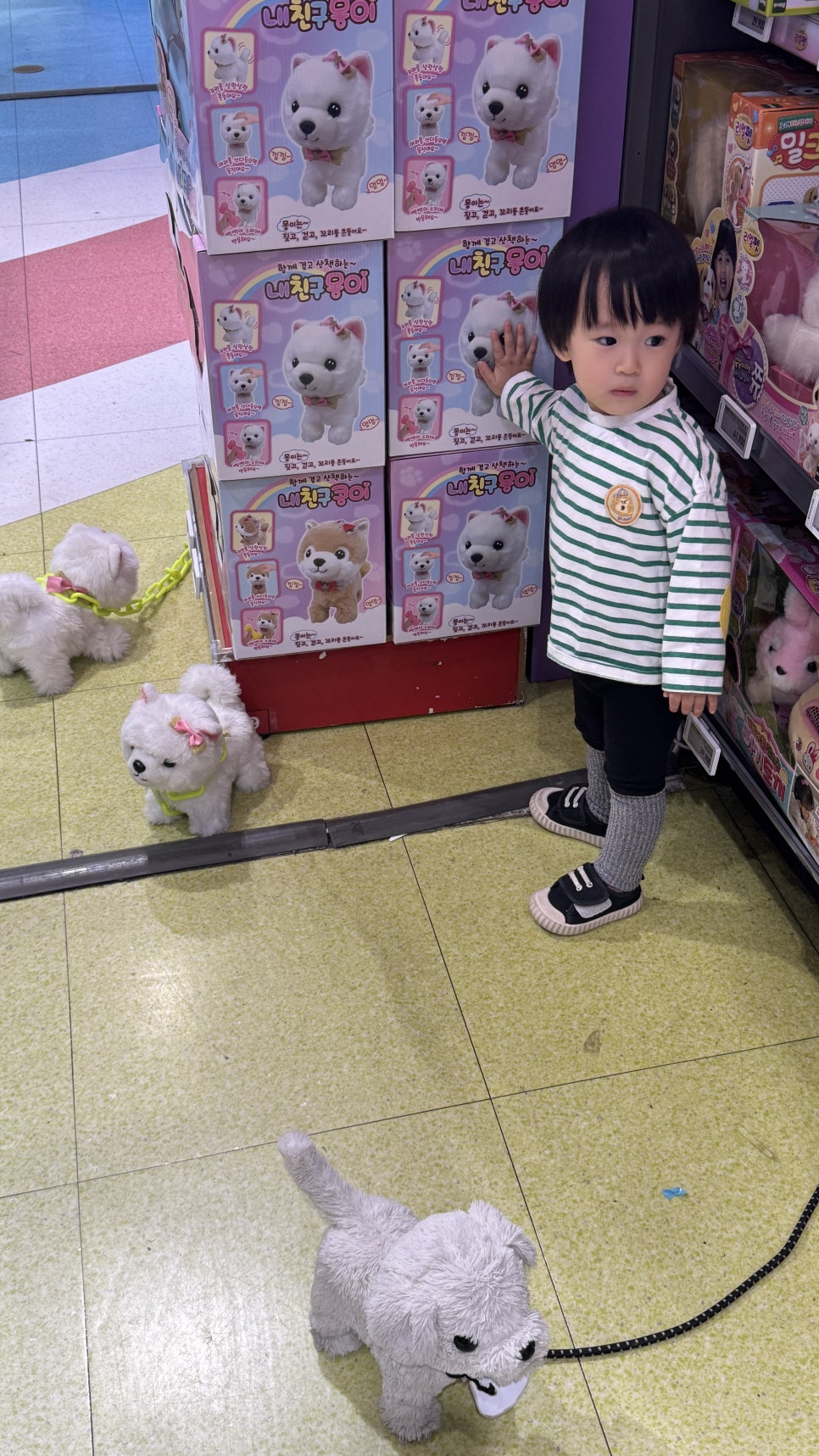 몽이1푸드 이미지