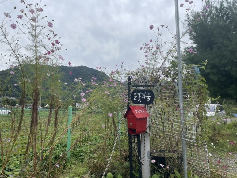 들꽃여울캠핑장 이미지