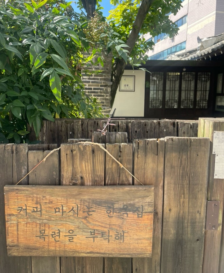 목련을부탁해 이미지