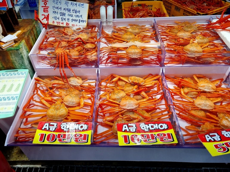 상희수산 이미지