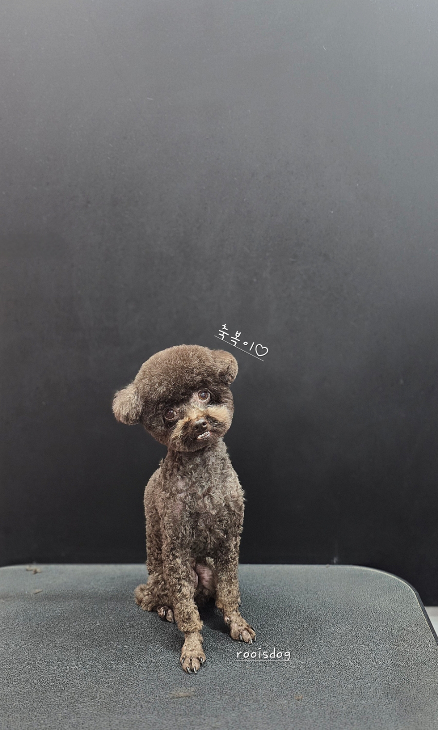 축복미용실 이미지