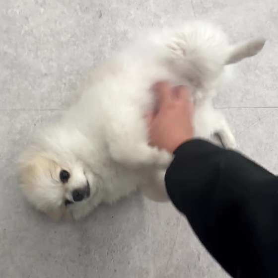 수정동헬스장 이미지