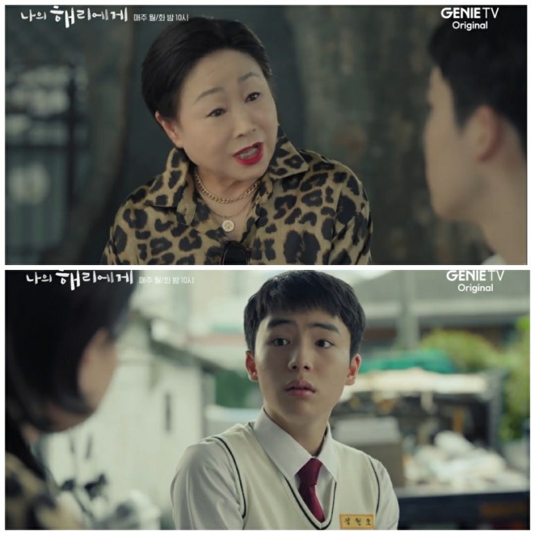 보은아지매 이미지