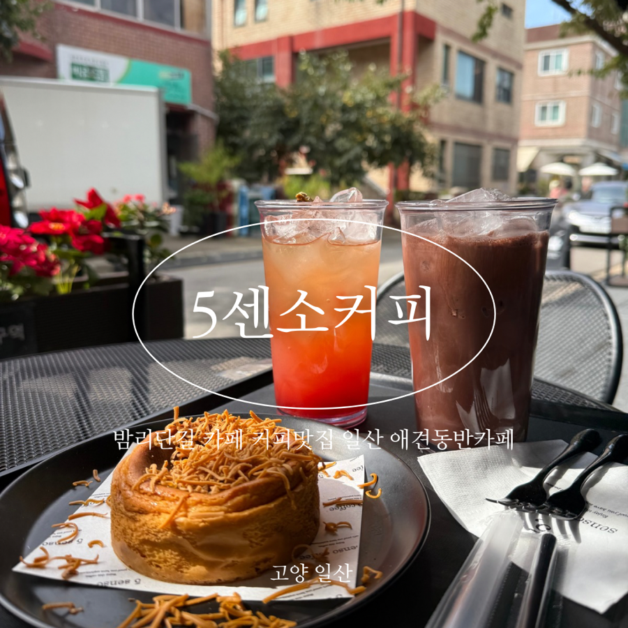 5센소커피 이미지