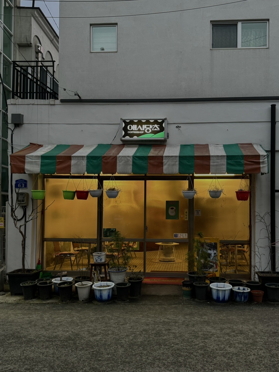 애시당초 이미지