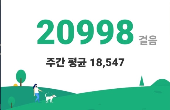 놀차 이미지