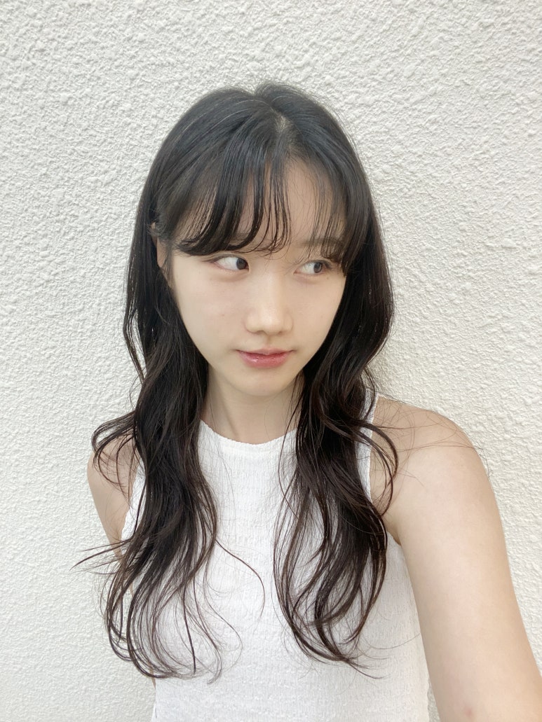 아브헤어 이미지