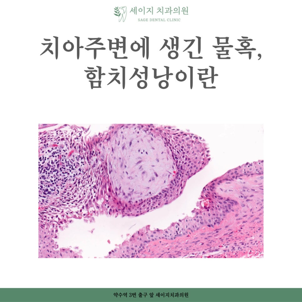 세이지치과의원 이미지