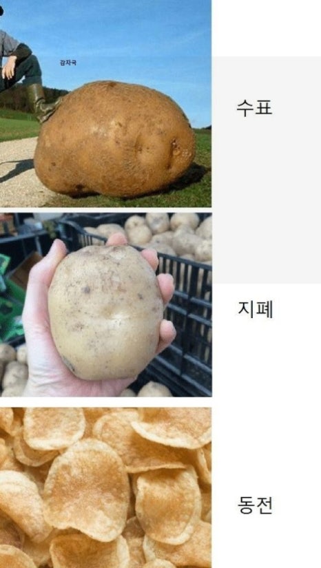 대관령토종한우 이미지