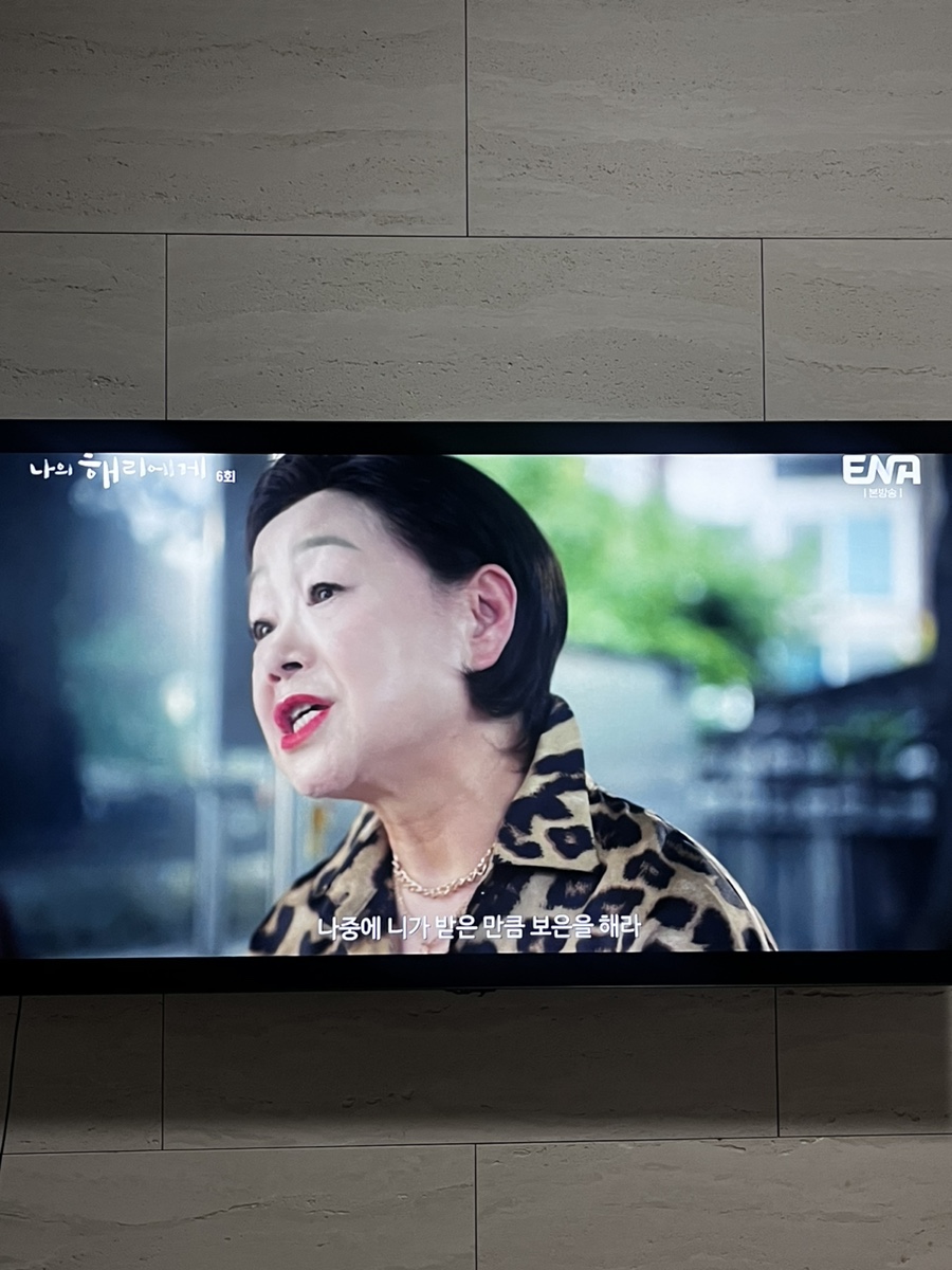 보은아지매 이미지