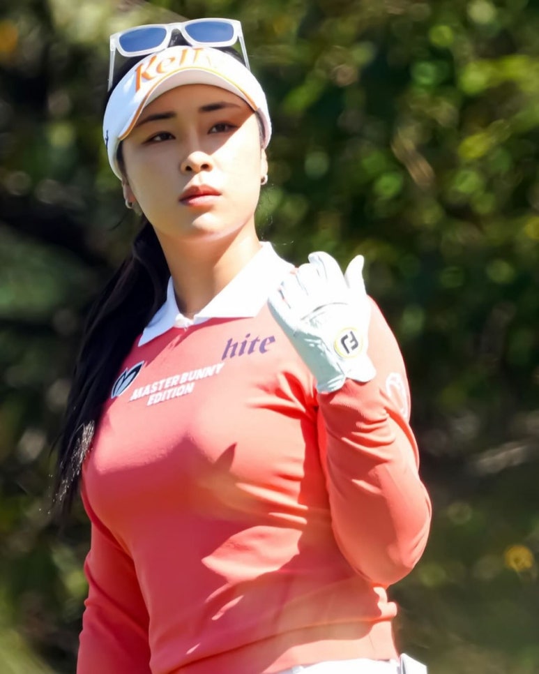 프로세계 이미지