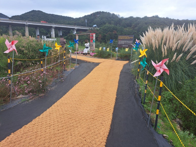 대성장칼국수 이미지