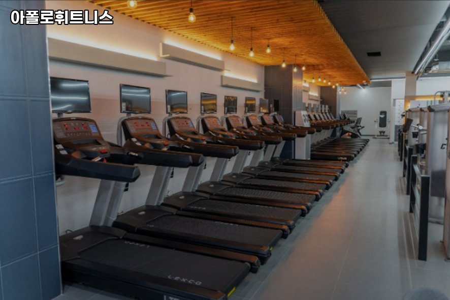 아폴로휘트니스 이미지