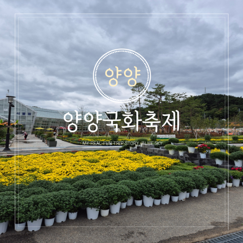 파커스푸드 이미지