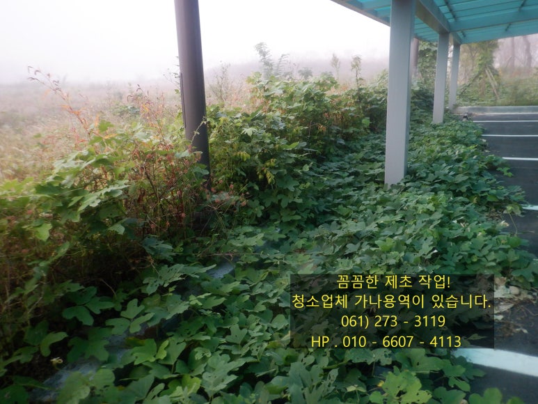 가나청소대행 이미지