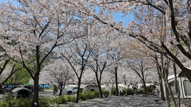 산솔 캠핑장 이미지