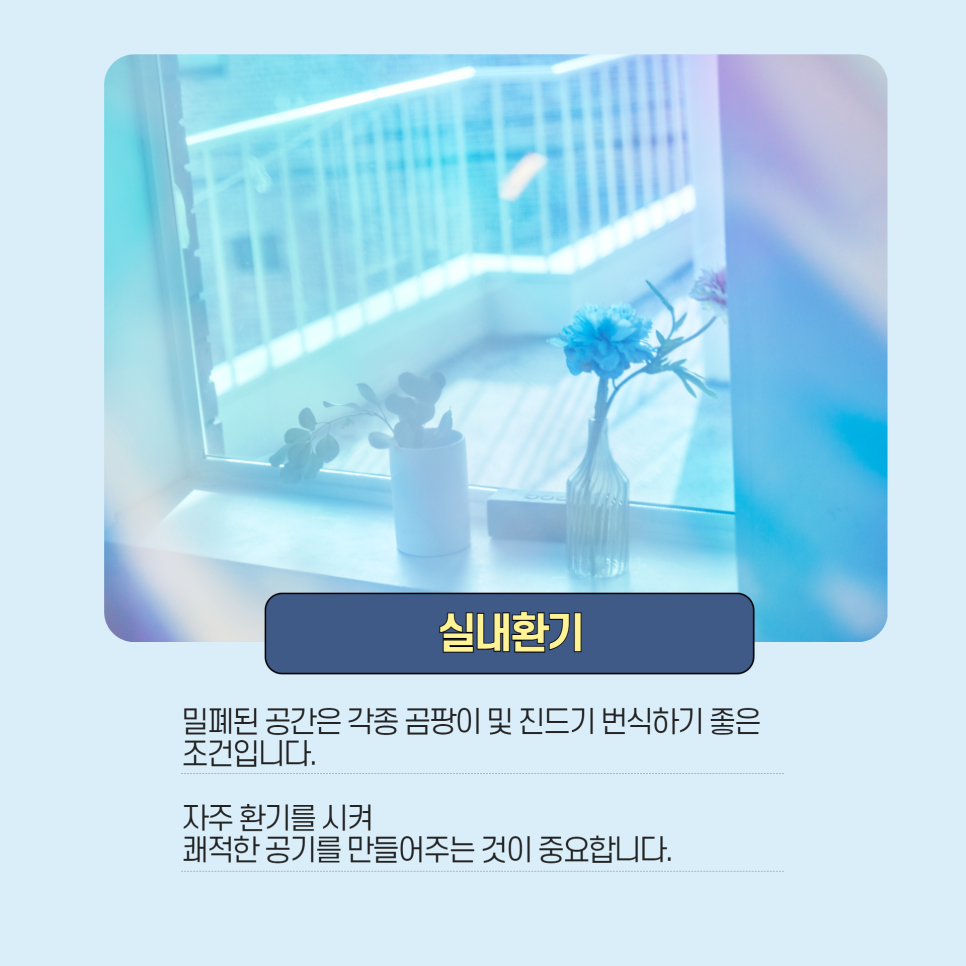 가정과 사무실에서 환절기 건강관리에 최적화된 가습기 선택 "피오 통세척 대용량 초음파 가습기 후기" 이미지 9