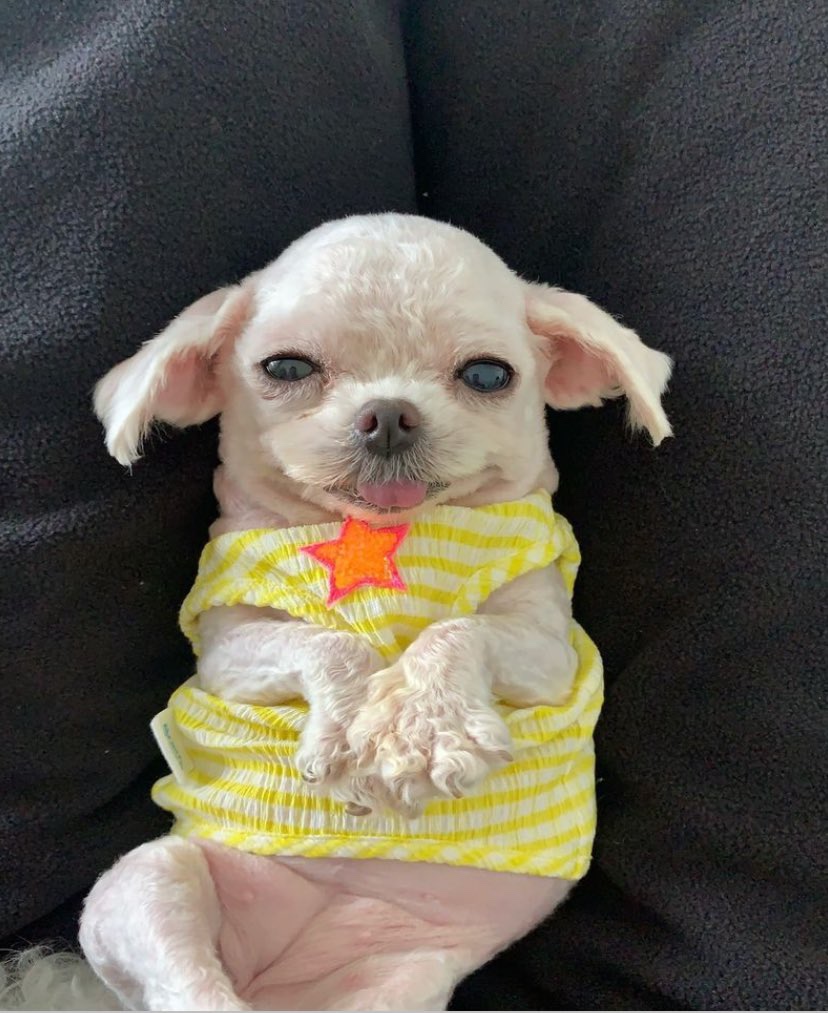 예승 이미지