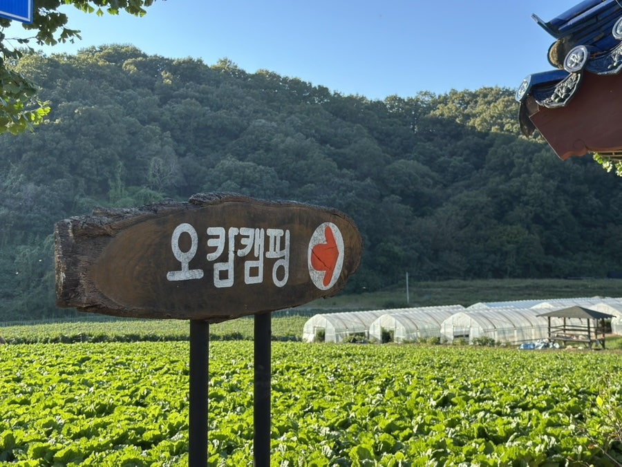 오캄캠핑 이미지
