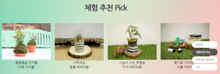 들국화가든 이미지