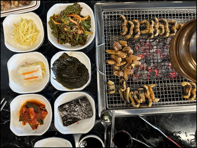 용마그집장어 이미지