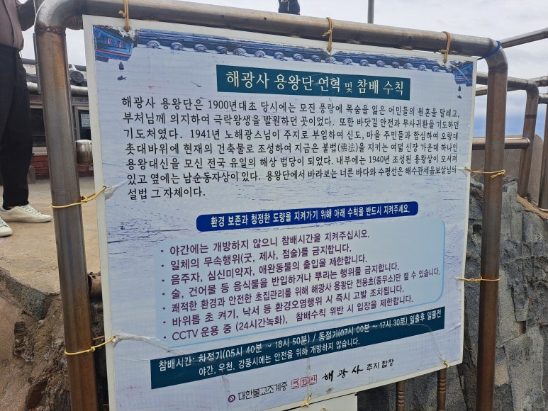대성장칼국수 이미지