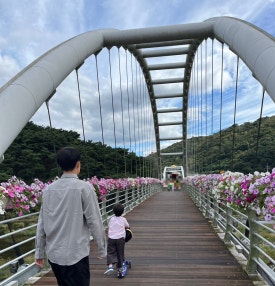 청도전동바이크 이미지