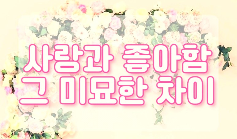 미묘한 차이 이미지