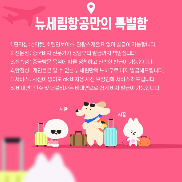 세림항공여행사 이미지