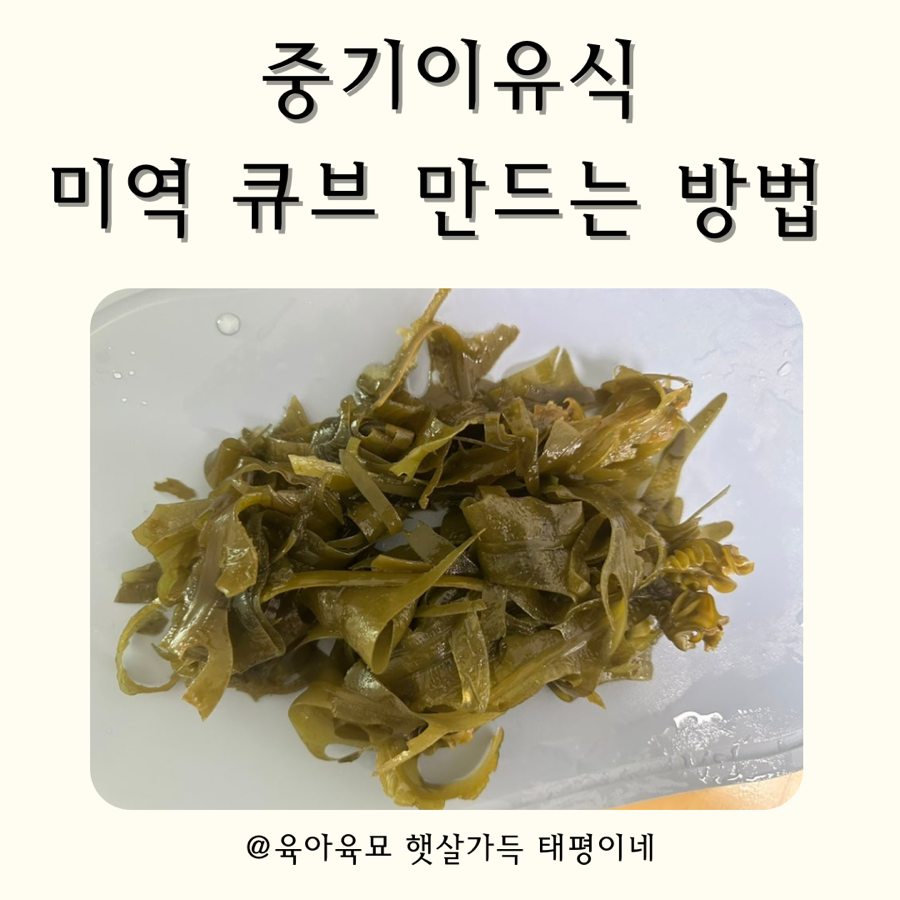 태평중기 이미지