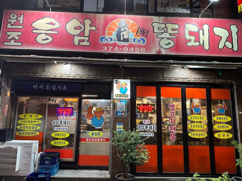 원조응암똥돼지 이미지