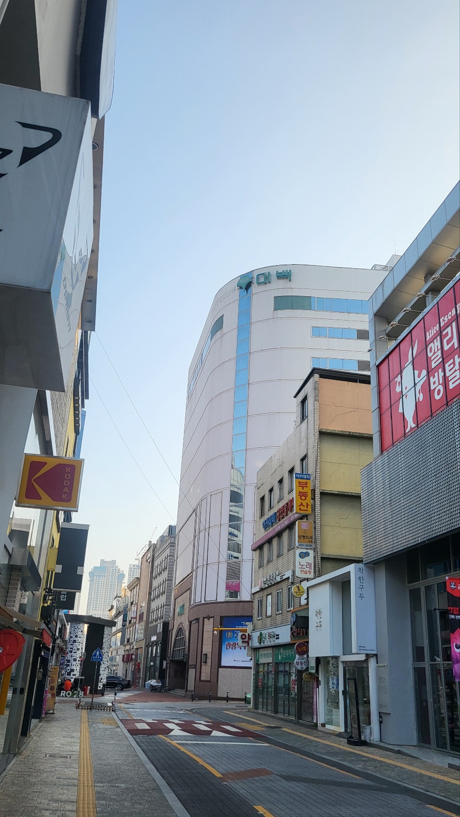 참조은인력 이미지