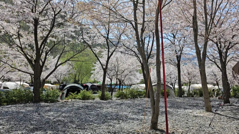 산솔 캠핑장 이미지