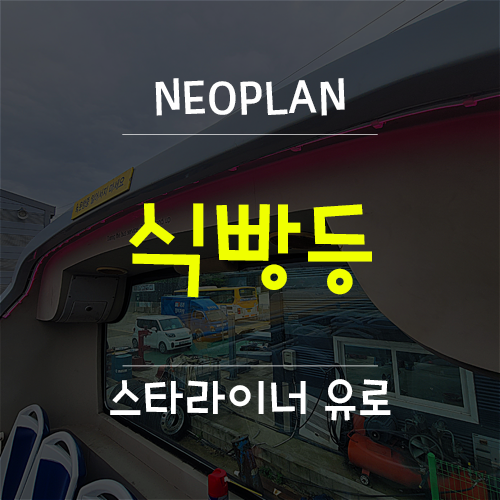 네오플란 이미지