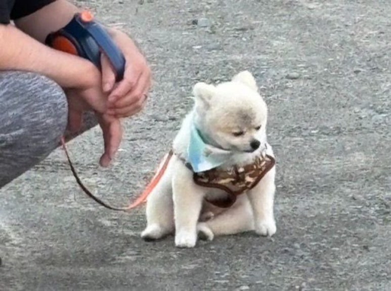 밤도시 이미지