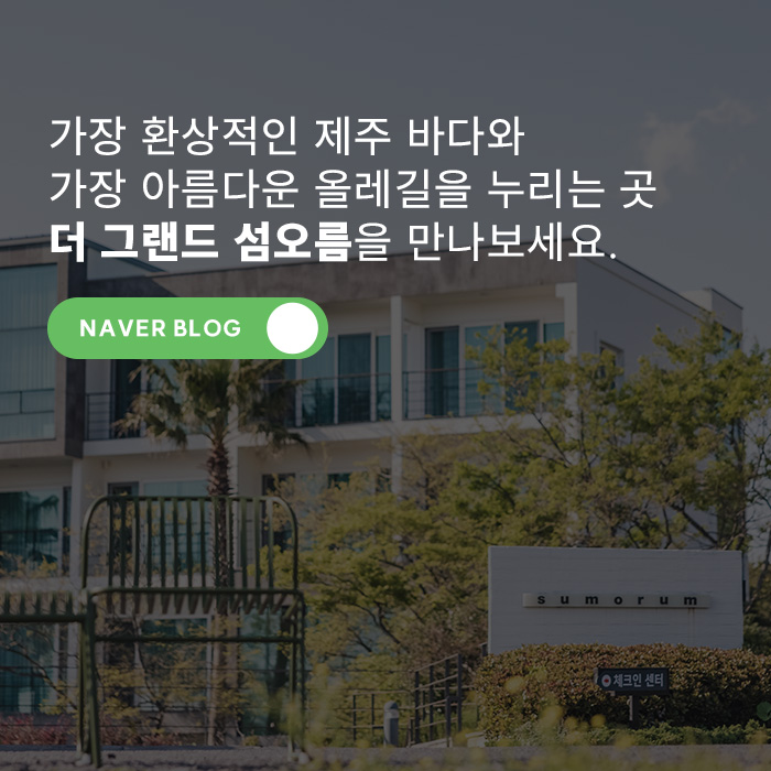 바솔트 사진 6