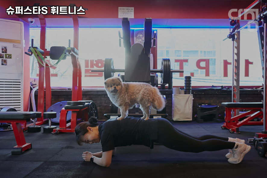 도봉슈퍼 이미지